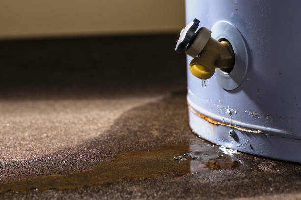 Best Fire Damage Restoration  in Olean, NY