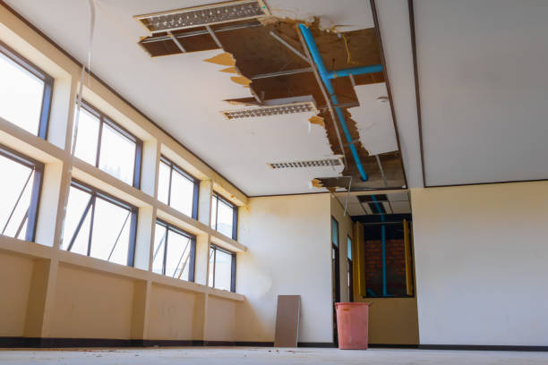 Best Ceiling water damage repair  in Olean, NY