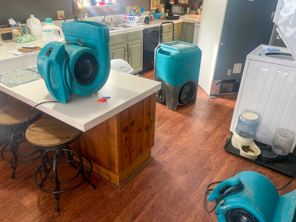 Best Sewage cleanup and water damage restoration  in Olean, NY