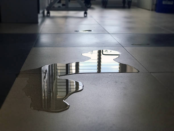Best Water damage contractors near me  in Olean, NY