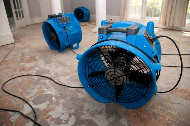 Best 24-hour water damage restoration  in Olean, NY