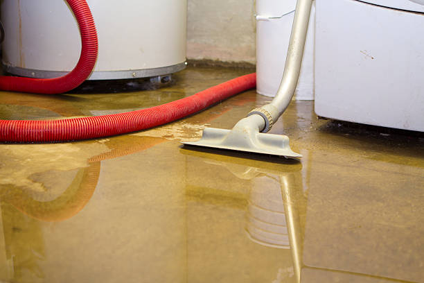 Best Flood damage cleanup  in Olean, NY