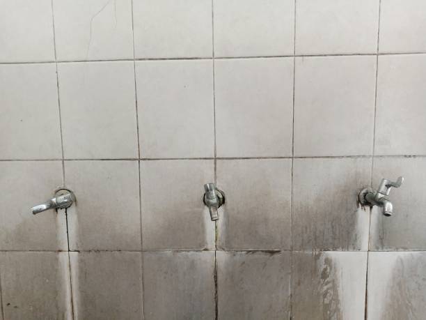 Best Residential water damage restoration  in Olean, NY