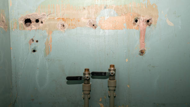 Best Carpet water damage restoration  in Olean, NY