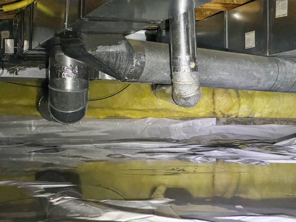 Best Water damage restoration near me  in Olean, NY
