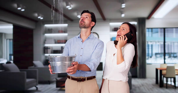 Best Water damage restoration near me  in Olean, NY