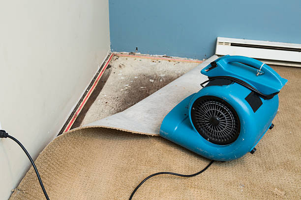 Best Residential water damage restoration  in Olean, NY